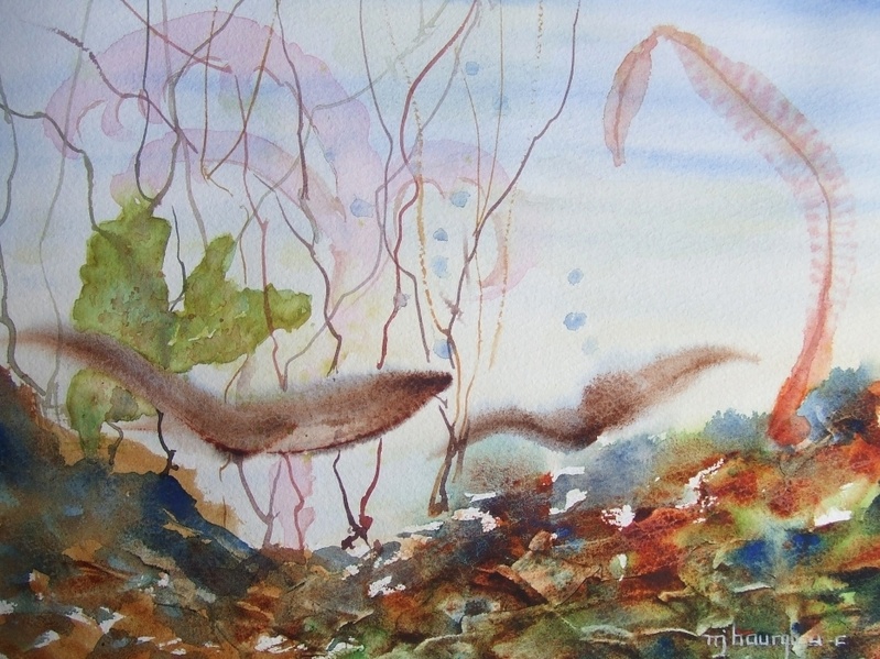 Vie aquatique
